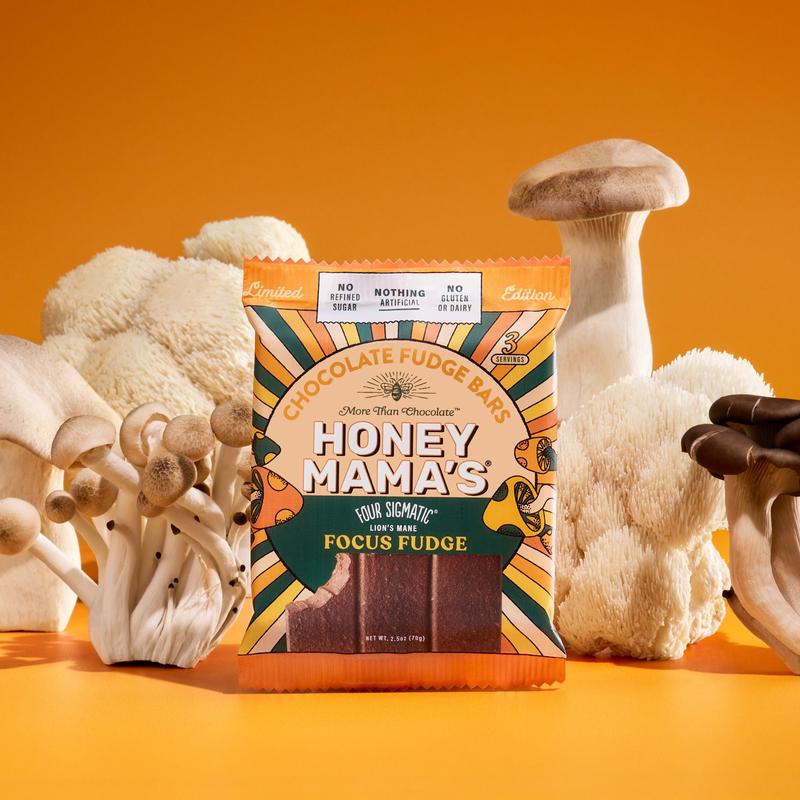 Four Sigmatic Focus Fudge