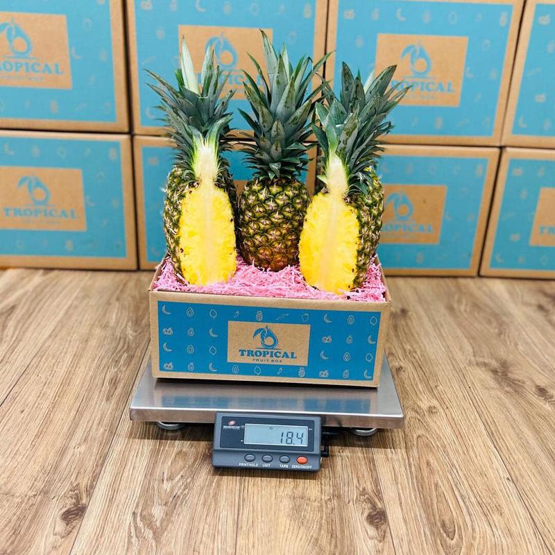 Premium Tropical Golden Pineapple Box