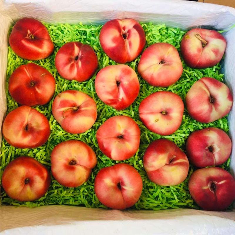 Donut Peach Box