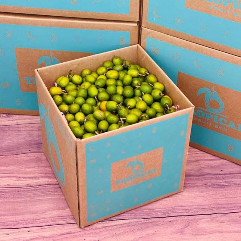 Spanish Plum Box