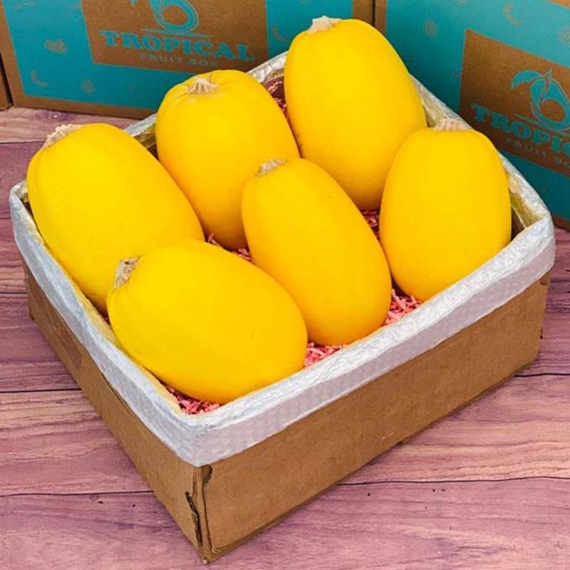 Spaghetti Squash Box