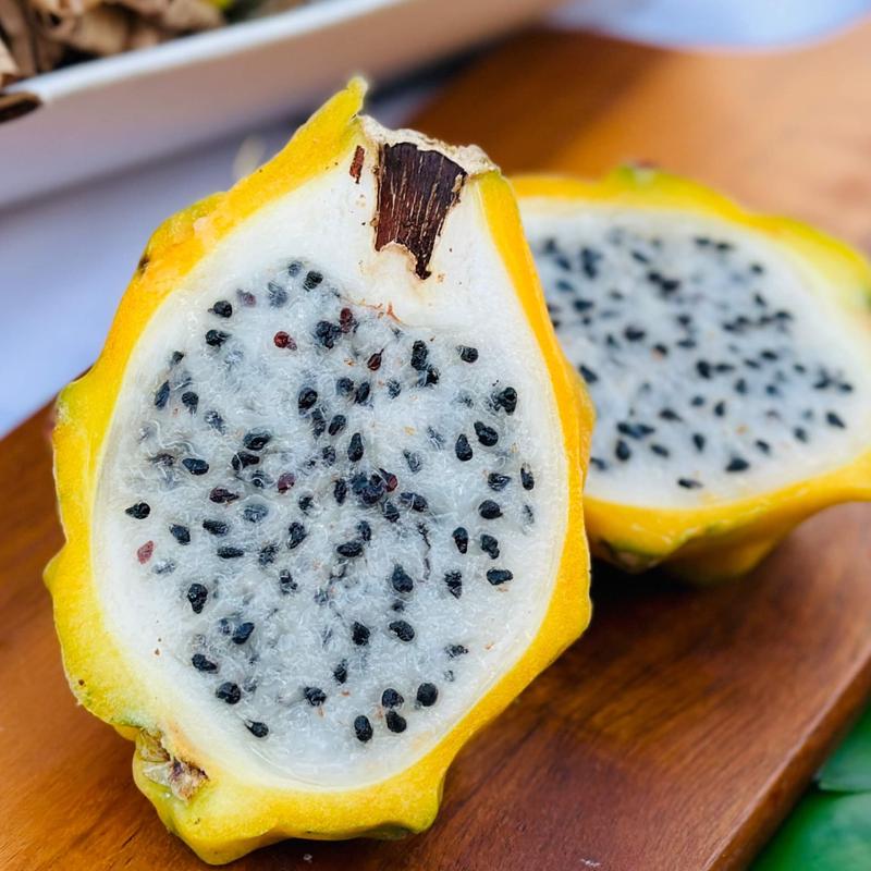 $35 FREE Yellow Dragon Fruit Gift