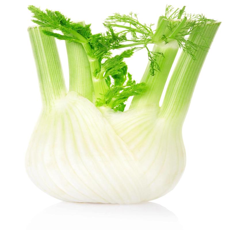Fennel - Piece