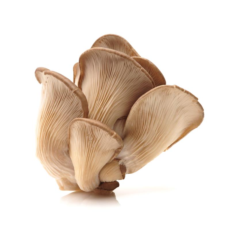 Mushrooms - Oyster  1 lb.