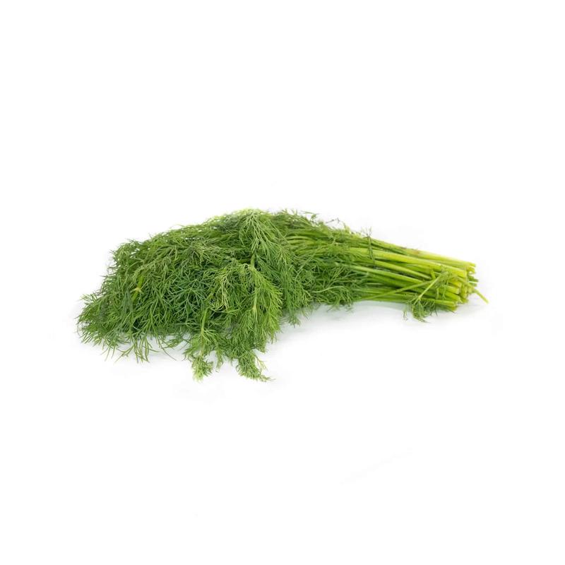 Dill - Bunch