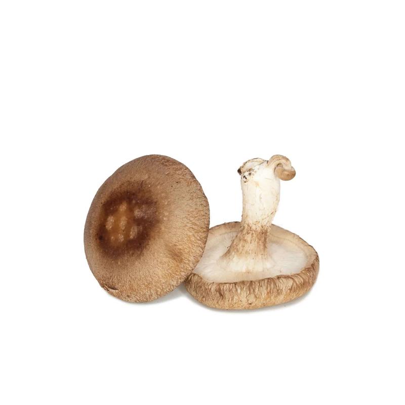 Shiitake Mushrooms - 1LB