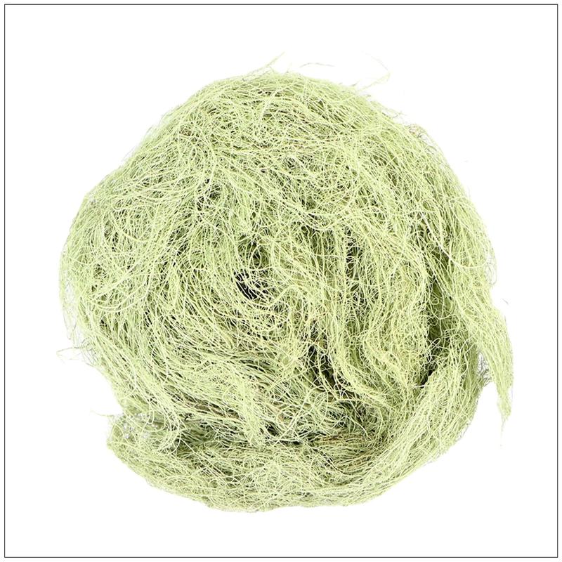 Usnea Lichen