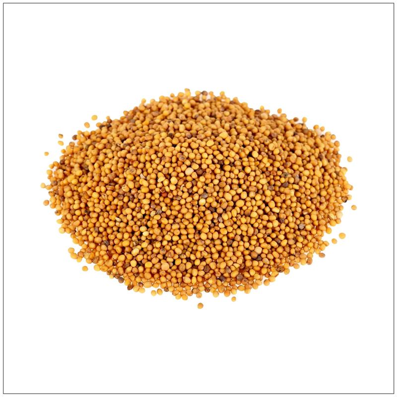 Mustard Seed Yellow