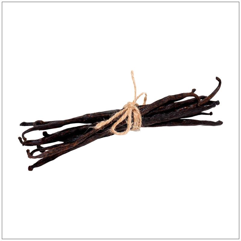 Vanilla Bean