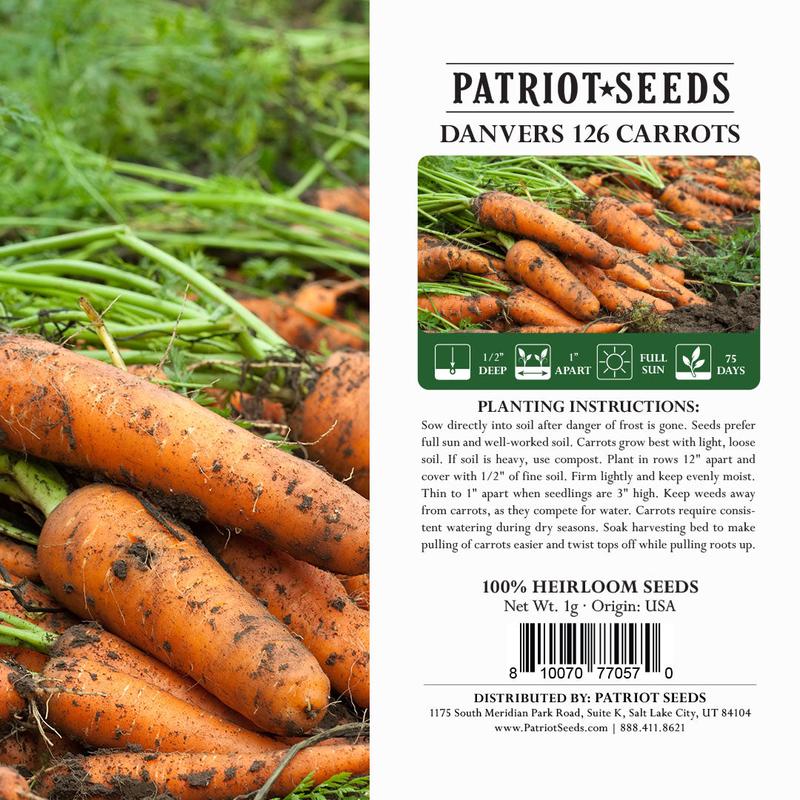 Heirloom Danvers 126 Carrot Seeds (1g) by Patriot Seeds