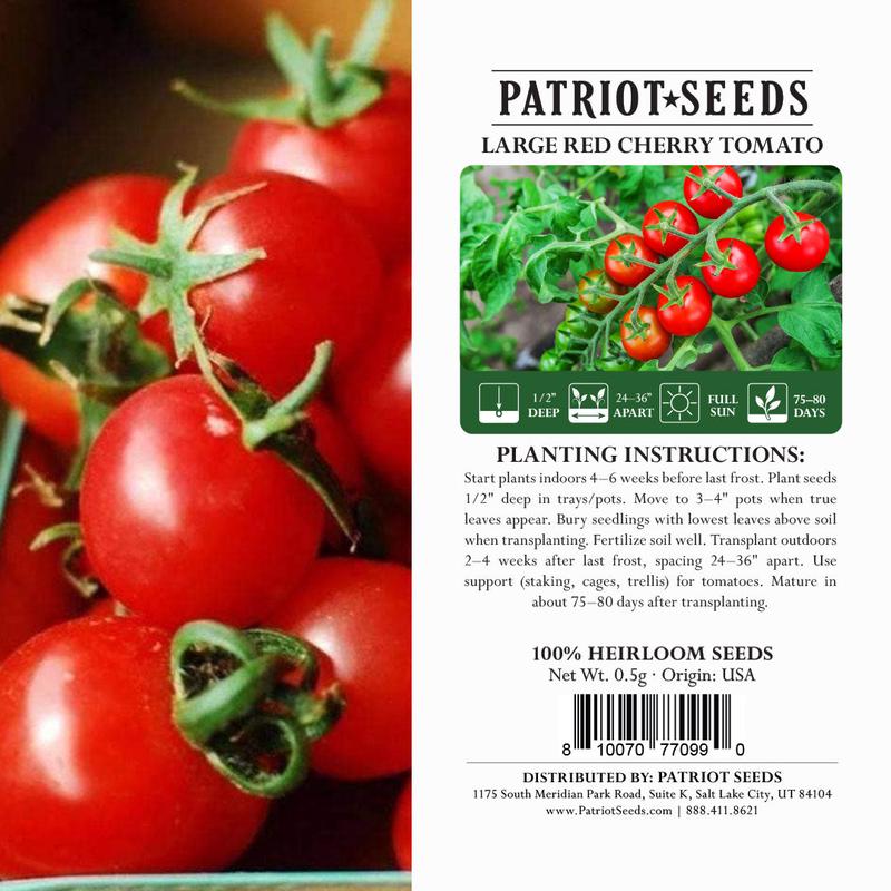 Heirloom Large Red Cherry Tomato Seeds (.5g) by Patriot Seeds